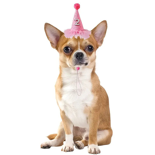 Single Piece Trendy Dog Bandana + Birthday Hat - Ideal Pet Birthday Outfit