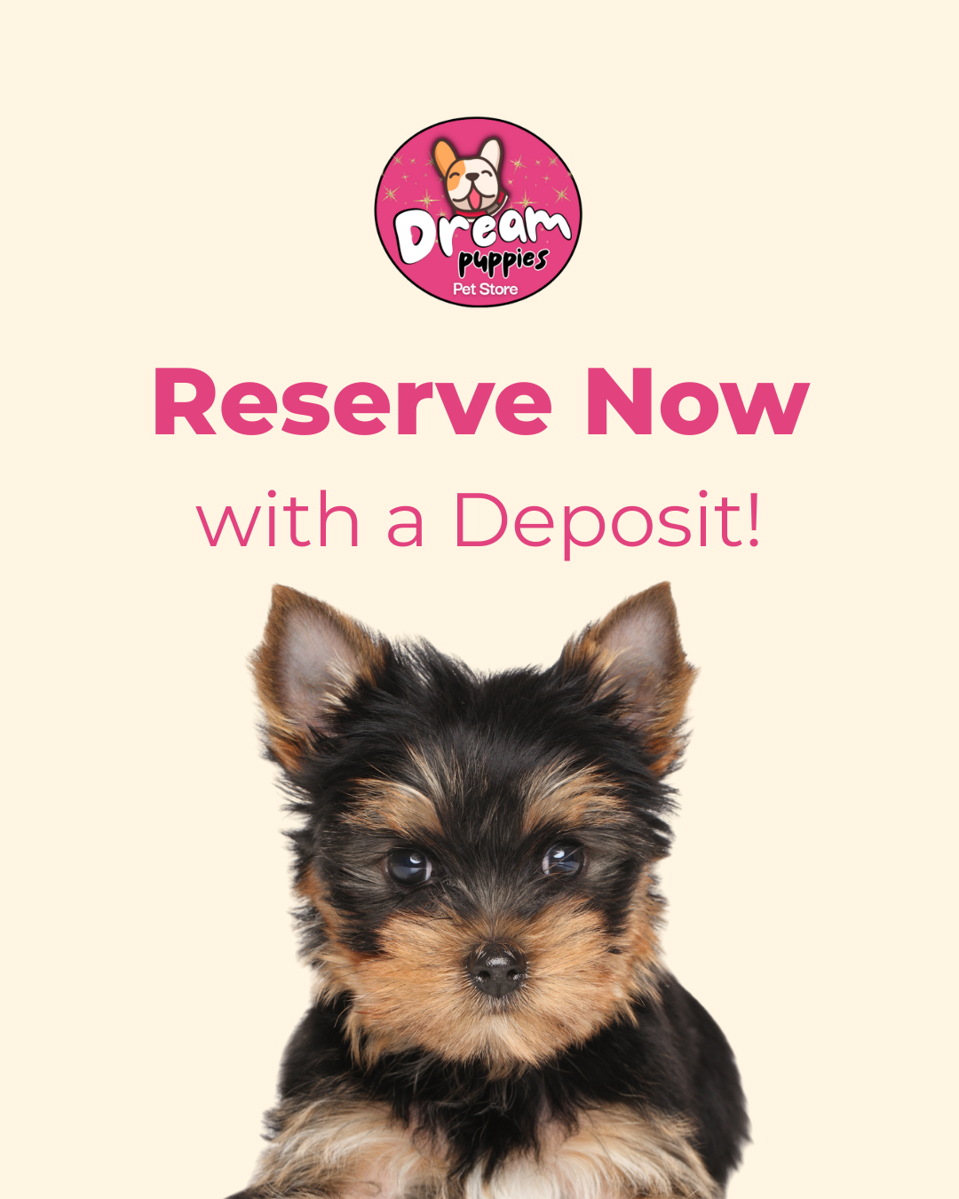 Initial Puppy Deposit – Reserve Your Dream Puppy Today