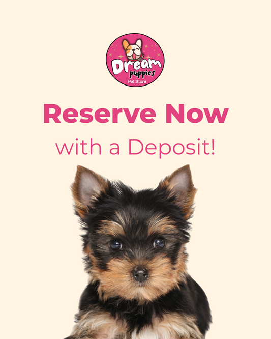 Initial Puppy Deposit – Reserve Your Dream Puppy Today