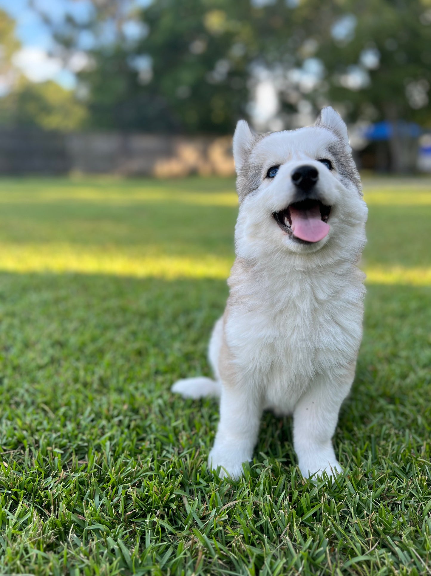 niña